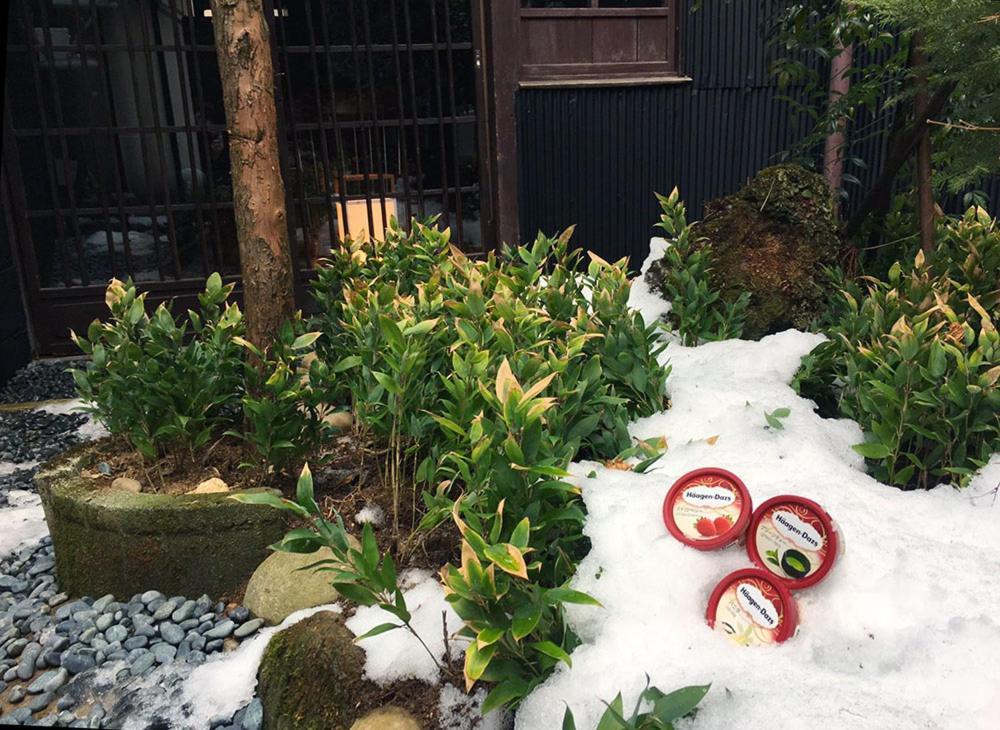 Ichii No Niwa 一棟貸切の古民家宿 櫟の庭 Takayama  Exterior foto